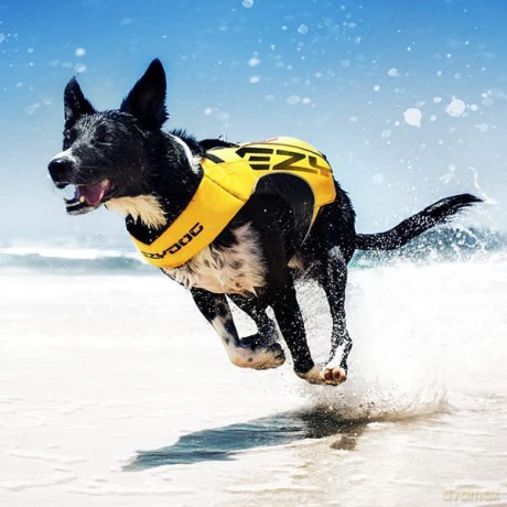 Ezydog - Life Jacket X2 Boost Red M 18-27kg