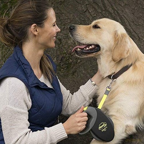 FLEXI - Leash Giant XL 8M Tape Black Max 70Kg - (600.7784)