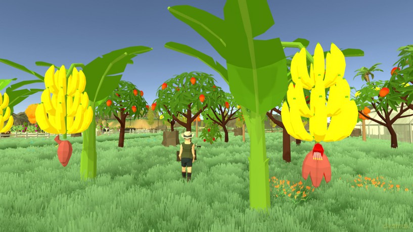 Harvest Days: My Dream Farm [GRA PS5]