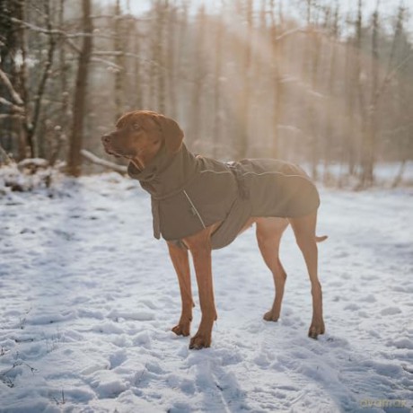 Hunter - Dogcoat Nordby 45, orange - (203425)