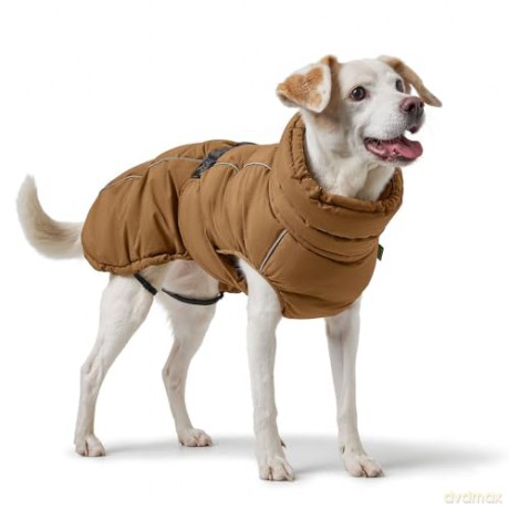 Hunter - Dogcoat Paxson 55, blue - (203465)