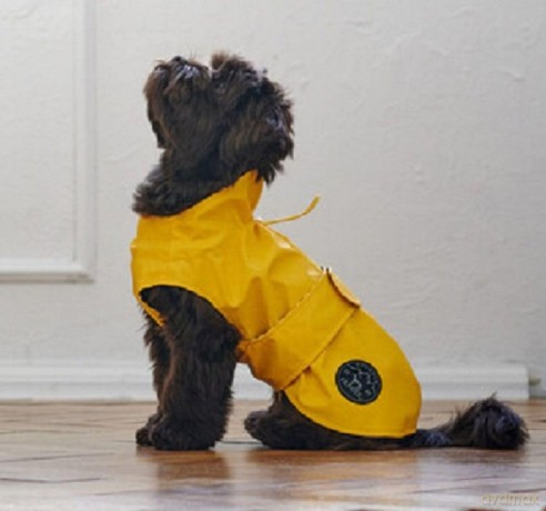 Hunter - Rain coat for dogs Milford 65, yellow - (69024)