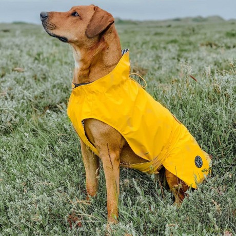 Hunter - Rain coat for dogs Milford 65, yellow - (69024)