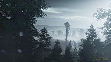 Infamous: Second Son [GRA PS4]