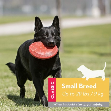 Kong - Flyer Frisbee S 18cm