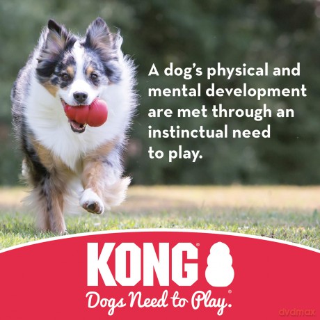 Kong - Flyer Frisbee S 18cm