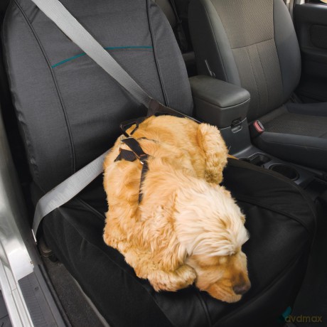 KURGO - Rover Car seat Cover stain and water resistant