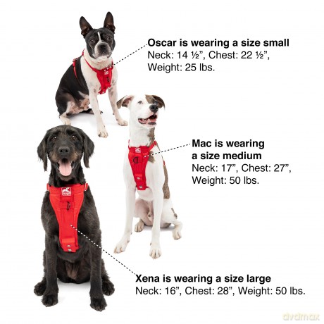 KURGO - Tru-Fit Smart Harness w/ Seatbelt Tether l Black - (604.1224