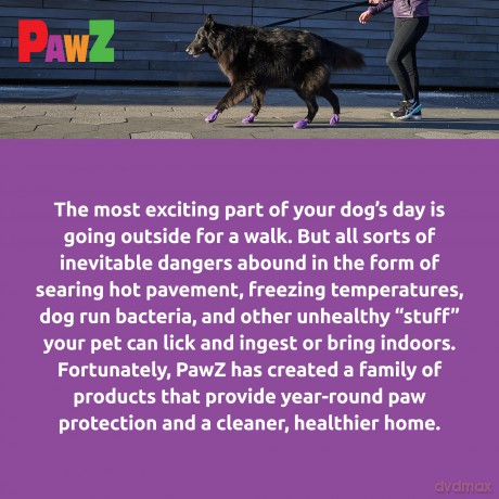 PAWZ - Dog boots L - Purple (632.8050)