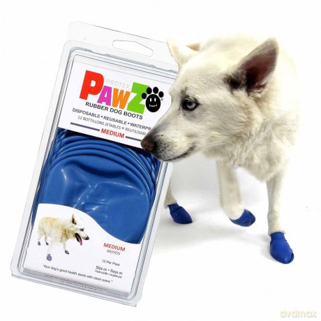 PAWZ - Dog boots M - Blue (632.8048)
