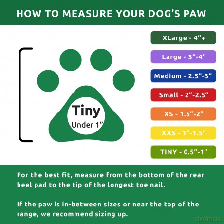 PAWZ - Dog Boots Tiny - Apple Green (632.8040)
