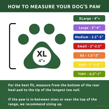 PAWZ - Dog boots Xl - Green (632.8052)