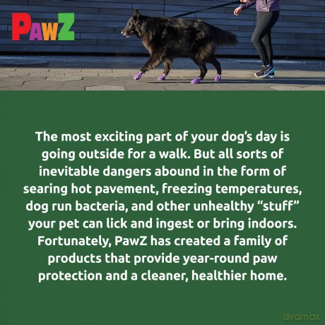 PAWZ - Dog boots Xl - Green (632.8052)
