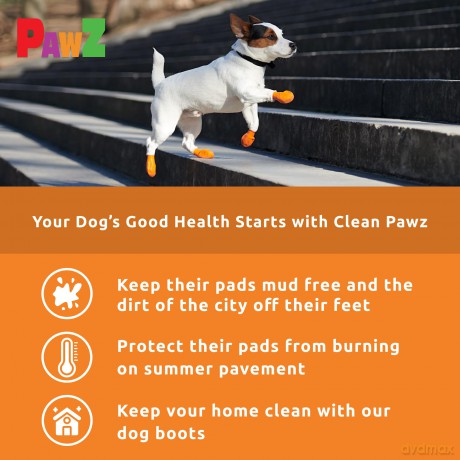 PAWZ - Dog boots Xs - Orange (632.8044)
