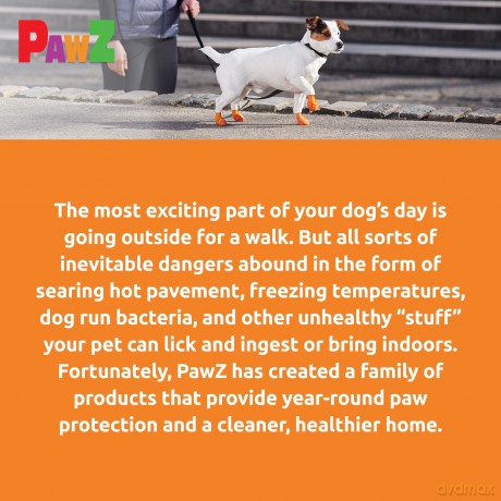 PAWZ - Dog boots Xs - Orange (632.8044)