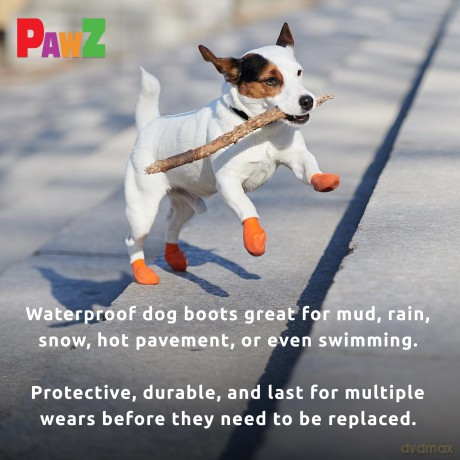 PAWZ - Dog boots Xs - Orange (632.8044)