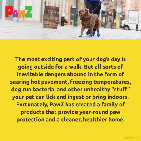 PAWZ - Dog boots Xxs - Yellow (632.8042)