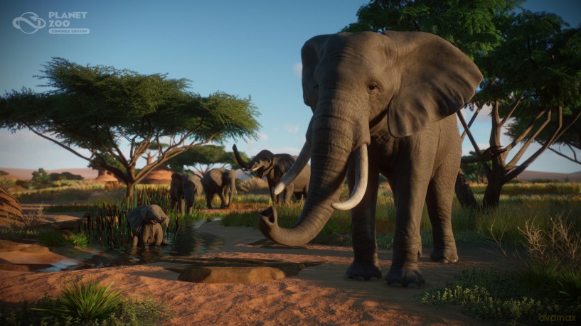 Planet Zoo: Console Edition [GRA PS5]