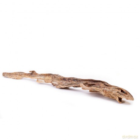 Snack'it - Dog snack Dried Shark 1 piece 40-50cm - (01-885)