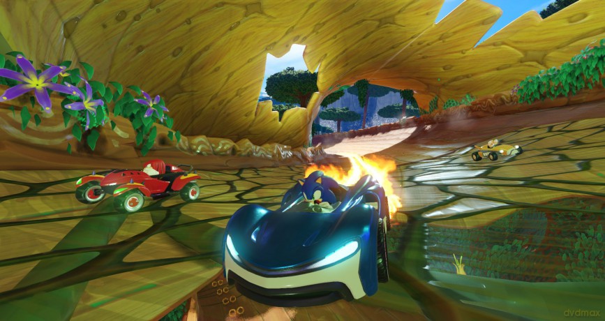 Team Sonic Racing (Special Edition) [GRA PS4]