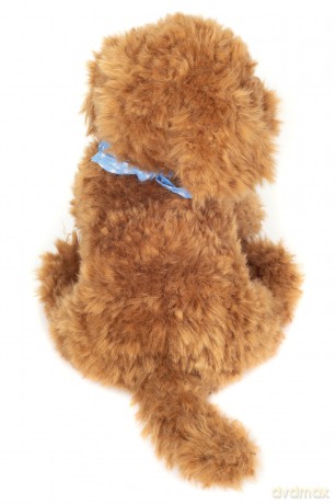 Teddy Hermann - Sitting Goldendoodle 30 cm - (TH919773)