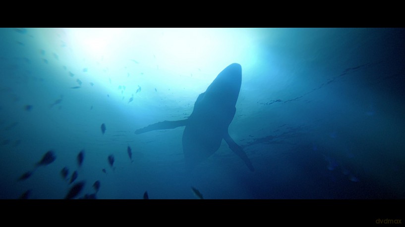 Under The Waves [GRA PS5]
