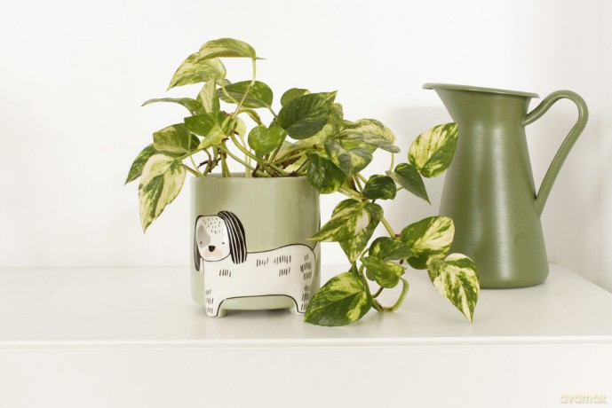 Winkee - Flower pot dog - Height: 40 cm, Diameter: 13 cm