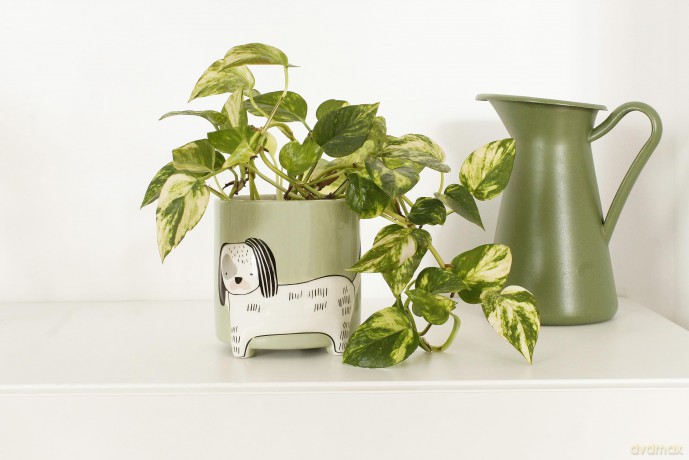 Winkee - Flower pot dog - Height: 40 cm, Diameter: 13 cm