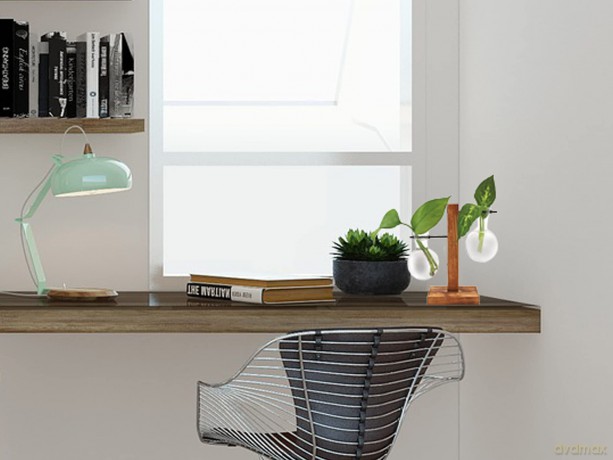 Winkee - Hydro Vases Flower Vase
