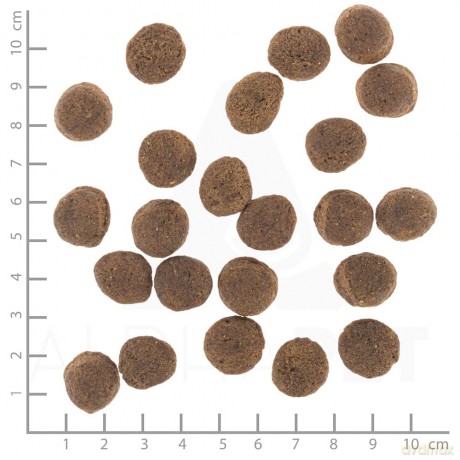 Wolfsblut - Gastrointestinal, 12 kg. - (wb0120)