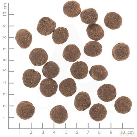 Wolfsblut - Hypoallergenic, 12 kg. - (wb122)