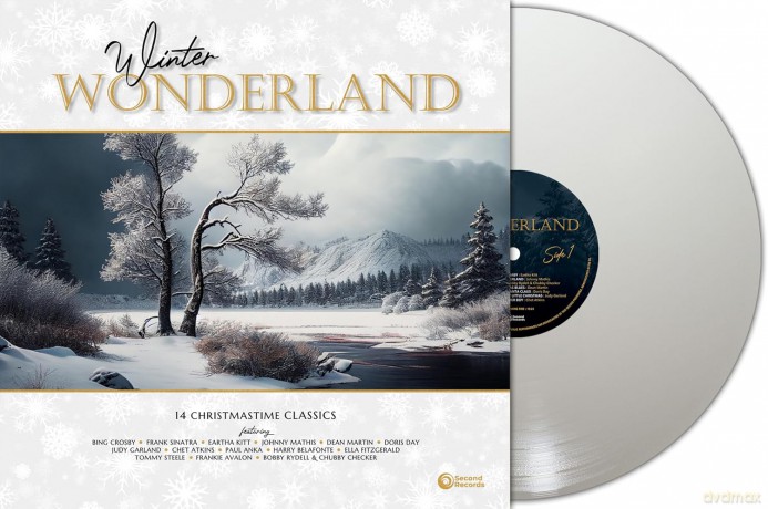 Winter Wonderland 14 Christmastime Classics (White) [Winyl]