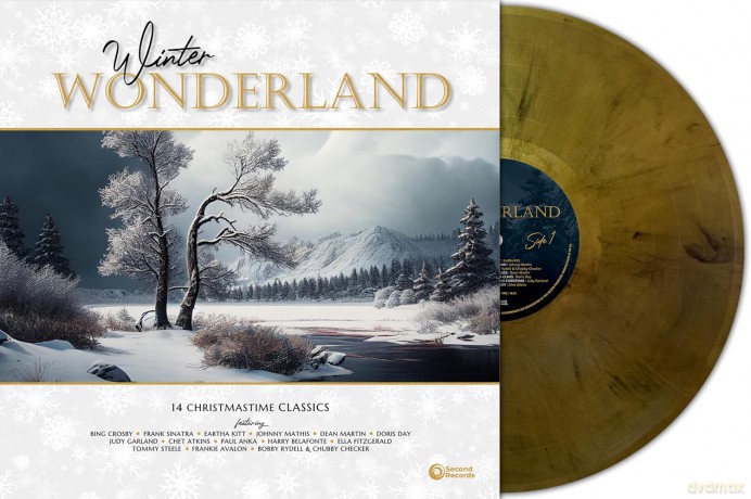 Winter Wonderland 14 Christmastime Classics (Marbled) [Winyl]