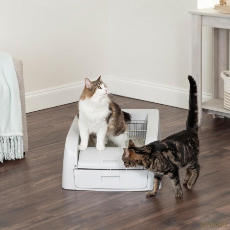 PetSafe Scoop Free kuweta samoczyszcząca dla kota, z czujnikiem ruchu