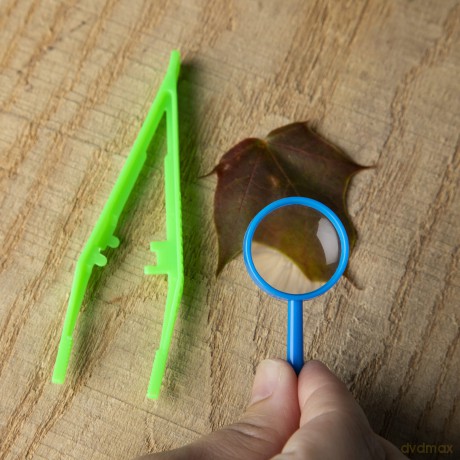 Ann Williams Craft tastic - Scavenger Hunt Potions