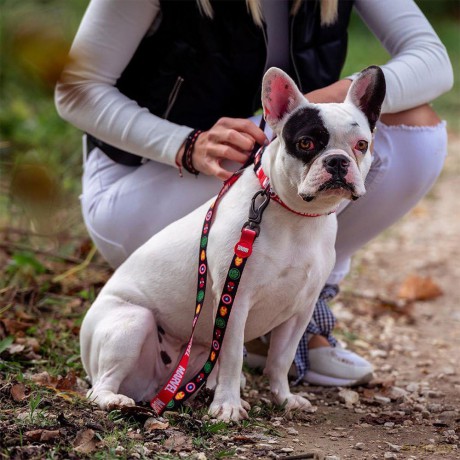 Dog Premium Leash M Marvel