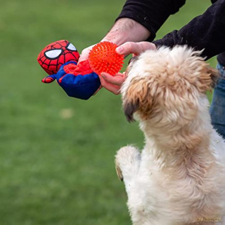Dog Toys Two In One Spiderman