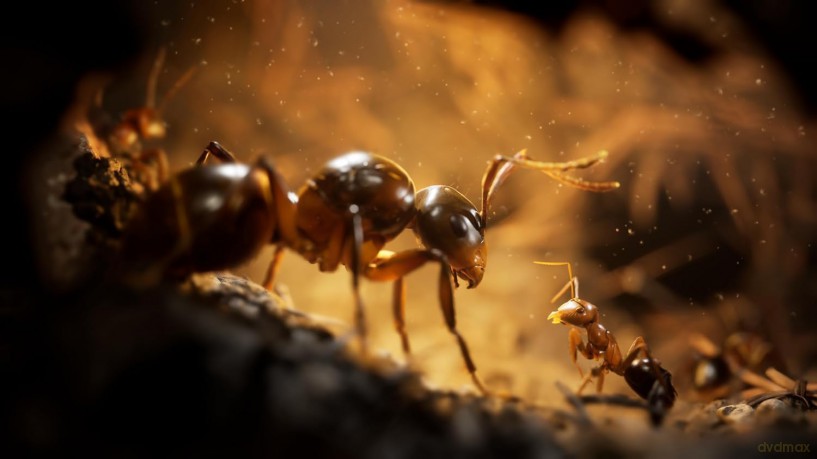 Empire of the Ants - Limited Edition [GRA XBOX SERIES X]