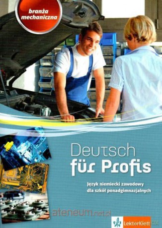 Deutsch für Profis. Branża mechaniczna [KSIĄŻKA]