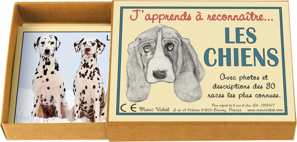 Marcvidal (477) I Learn to Recognize Dogs Educational Toy