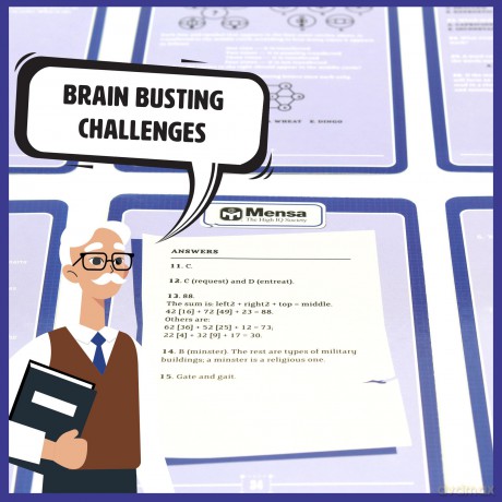 Mensa The IQ Challenge (discontinued) [GRA PLANSZOWA]