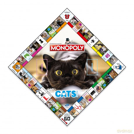 Monopoly Cats Edition [GRA PLANSZOWA]