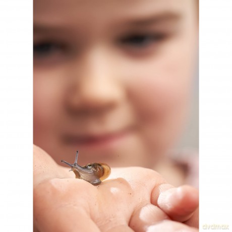 My Living World: Snail World