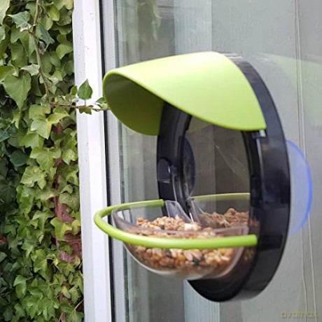 My Living World: Window Bird Feeder