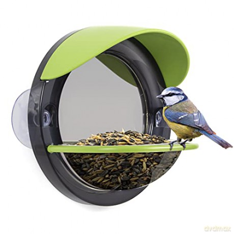 My Living World: Window Bird Feeder