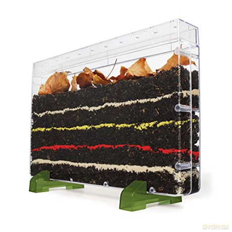 My Living World: Worm World