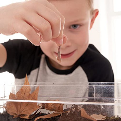 My Living World: Worm World