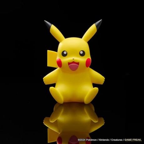 Pokemon - Single Deluxe Vinyl Figure Pikachu 1
