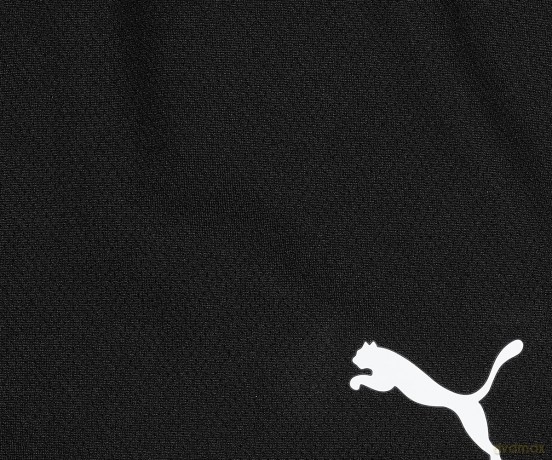 Puma teamRISE Shorts - Black (7-8YR)