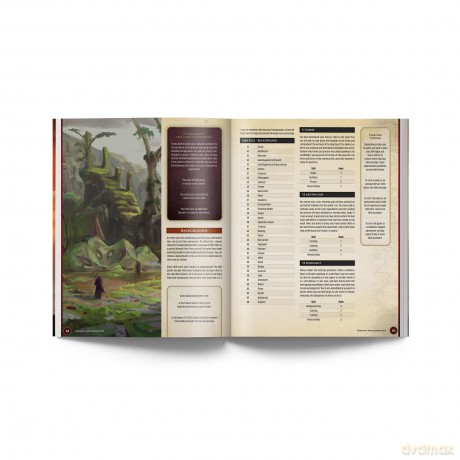 RuneScape Kingdoms: The Roleplaying Game [GRA PLANSZOWA]
